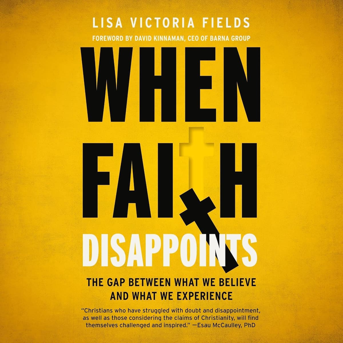 When Faith Disappoints book cover